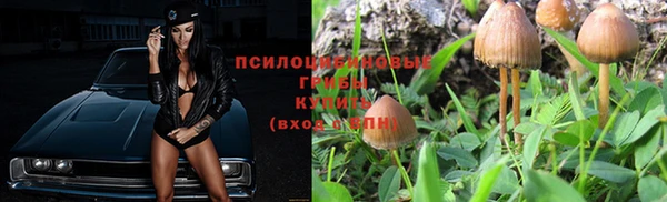 спиды Медногорск