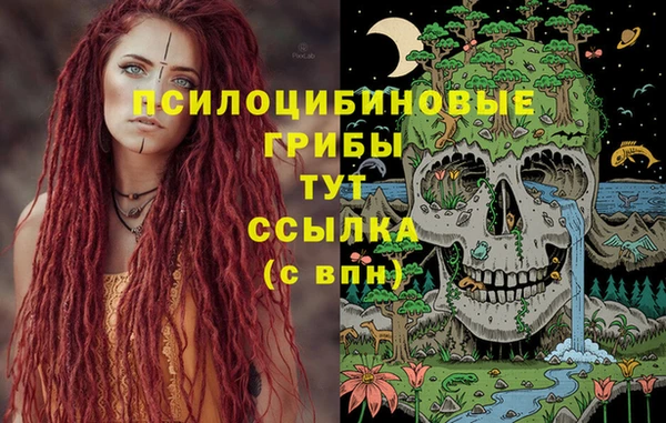 мяу мяу мука Медвежьегорск
