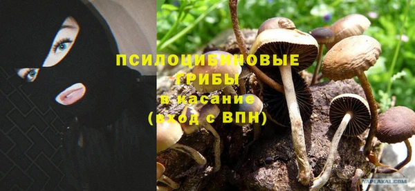 спиды Медногорск
