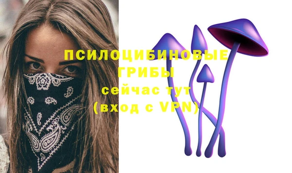 СК Сыктывкар