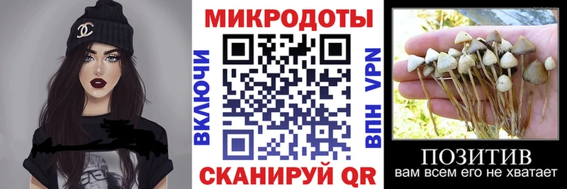 сайты даркнета телеграм  МЕГА ONION  Макарьев  Псилоцибиновые грибы Psilocybine cubensis 